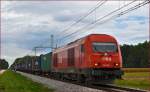 OBB/RCA 2016 083 zieht Containerzug durch Cirkovce-Polje Richtung Koper Hafen.