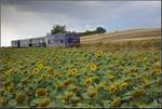 Noch ein Bild, dass die blaue 2143.062 mit einem Sonnenblumenfeld am Mollmannsdorfer Berg auf der Rückfahrt nach Wien Praterstern zeigt.