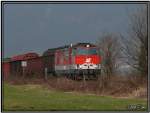 Holztransport nach Pls (Stmk) Dieselloks 2143 045-9 und 2143 062-4   Fotografiert nahe Zeltweg 28.03.2007