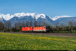 Am 24.04.2021 überraschte uns ein Lokzug der ÖBB mit 1144 013 und 1016 002 bei Nendeln (LI).