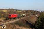 1016 002 mit einem gemischten Gterzug am 15.03.2012 bei Laaber.