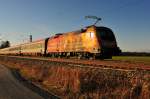 Die Lok  Niederösterreichischer Landesfeuerwehrverband  1016 048-1 der ÖBB bei Übersee am Chiemsee im letzen Licht des Tages in Richtung München unterwegs.