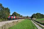 1063 038 mit einem Holzzug am 27.09.2018 bei Gaisbach-Wartberg.