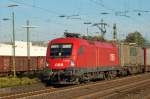 BB Taurus 1116 262-5 durchfhrt Neuwied BF, am 13.10.2007.