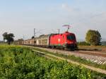 Die 1116 020 mit einem Gterzug am 10.10.2012 unterwegs bei Langenisarhofen.