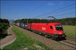 1116.050 mit Containerzug am 10.08.14 bei Neunkirchen/NÖ Ri.