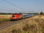 Die 1116 064 mit einem EN nach Budapest am 01.09.2015 unterwegs bei Gramatneusiedl.