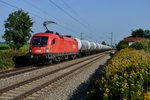 Ein Hingucker ist der samstäglich verkehrende Kesselwagenzug von München nach Koper, da er einheitlich aus neuen Kesselwagen mit GATX Beschriftung besteht.