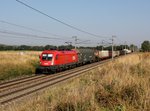 Die 1116 119 mit einem Güterzug am 01.09.2015 unterwegs bei Gramatneusiedl.