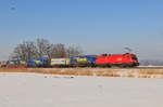 Die 1116 278-3 der ÖBB vor einem Güterzug in Richtung Salzburg bei Weisham in der Nähe von Prien am Chiemsee am 28.01.17