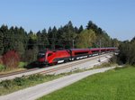 Die 1116 219 mit einem RJ nach München am 16.10.2016 unterwegs bei Grabenstätt.