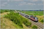 Durch die Weingrten von Pfaffsttten bringt 1116 138  Heeressport  den EC 103 POLONIA nach Villach, schon erwartet von einer Gruppe Fotografen beim Wchterhaus am Busserltunnel (erkennbar an den