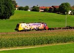 Die 1116 153  ÖAMTC  der ÖBB vor eine Güterzug bestehend aus Flachwagen am 23.08.16 bei Haslach von Traustein kommend.