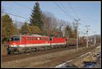 1142 638 + 1144 107 mit Güterzug in Wartberg im Mürztal am 22.01.2020.