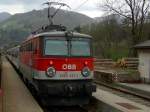 Die 1142 673 am 19.04.2008 bei der Ausfahrt in Reichraming im Gesause. 