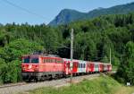 R3974 gezogen von der 1142 542 bei der Durchfahrt durch die  Ortschaft Schn am 29.06.2012.