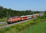 Die blutorange 1142 567 war am Nachmittag des 29.