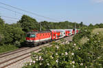 Rund um die erste 44er mit hohen Lüftern,die 071 blüht es im Einschnitt zwischen Leobersdorf und Sollenau am 21.5.18