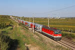 Durch die frühherbstlichen Weinberge um Pfaffstätten,fährt die nach schweren Unfallschaden auf der FJB neu aufgebaute 1144.286 mit R-2347 nach Wr.Neustadt Hbf.