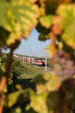 Kreuzungsglückstreffer in den herbstlichen Weinbergen bei Pfaffstätten durch 1144.234 und 006 beide mit Reg.