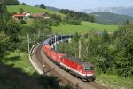 1144.232+1116.074 fahren mit G-43401 bei Eichberg am 30.6.12 bergwrts.