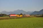 1144 253 mit kurzem Gterzug am 07.09.2012 bei Bernau am Chiemsee