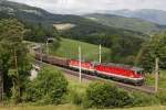 1144 229 + 1144 114 mit Güterzug bei Eichberg am 13.06.2014.