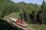 Am Morgen des 9.8.16 fährt 1144.228 mit G-54507 hinter der Kalten-Rinne bergwärts.