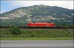 1216 240 (9181 1216 240-2) schleppt eine RoLa durch das Inntal zum Terminal Brennersee.