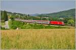 Bei Drrwien strebt 1216 239 mit dem OIC 646 Alpendorf Bergbahnen die Wienerwaldrampe Richtung Westen bergauf.