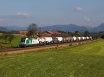 Die 1216 960 mit einem Schlämmkreidezug am 16.10.2016 unterwegs bei Straß.