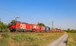 1293 066 der ÖBB mit dem Lübecker KLV am 05.08.2020 in Thüngersheim