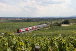 Ein farblich gemischtes 4020 Tandem fährt als S durch die Weinberge bei Pfaffstätten.