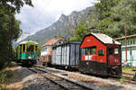 E-1 mit einen zusammengestellten Güterzug und ET-1 der die Gäste zum 100 Jahr-Jubileum von Payerbach brachte,befinden sich im Bhf.Reichenau.