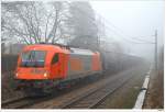 RTS 1216.901 mit dem 47180 bei Hofstatt; 8.1.2011