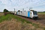 185 673 an der Spitze dieses Getreidezuges, am 01.10.2013 bei Himberg in Richtung Gramatneusiedl.