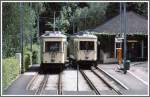 Wagen 11 und 15 der Pstlingbergbahn auf Berg- und Talfahrt.