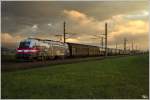 Heute war mit dem Gterzug 55563 (Selzthal - Zeltweg) erstmalig die neue BB Werbelok 1216 020  175 Jahre Eisenbahn in sterreich  im Aichfeld zu Gast.