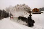 Der nchste Programmpunkt der “The Railway Touring Company” war am 7.2.2012 der  Winterdampf auf der Murtalbahn  - Bespannt mit der U 11  Mauterndorf  (Baujahr 1894) ging es von Murau nach