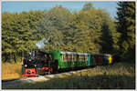 Schattenspielerei auf der Stainzerbahn am 12.9.2018 im Wald bei km 2,8.