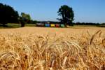 Ein Bett im Kornfeld ,.....