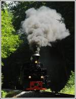 764.411R mit einem Fotogüterzug am 26.6.2015 im Wald zw.