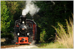 Der Stainzer Flascherlzug bei herrlichstem Wetter am 5.5.2016, im so genannten Bahnwald in Stallhof aufgenommen.