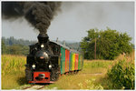 Stainzer Flascherlzug am 11.9.2016 kurz nach Herbersdorf.