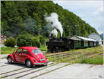 Uv 1 der Ybbsthalbahn Bergstrecke fährt mit dem  Ötscherland Express  von Kienberg nach Lunz am See.