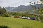 1216 953 + 1216 954 mit Güterzug bei Eichberg am 11.05.2017.