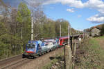 In frischer Frühlingsstimmung fährt Achensee 1216.019 mit RJ-132 im neu ausgeschnittenen Streckenabschnitt zwischen Payerbachgraben-Viadukt und Schwarzatal-Viadukt in Payerbach am 13.4.18