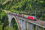 SLB 1216 940-7 und CargoServ 1216 900-8 überqueren mit einem Güterzug die Pfaffenberg-Zwenberg-Brücke bei Penk.