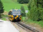 Triebwagen Salamander kurz vor der Einfahrt in Puchberg am Schneeberg.