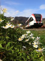 Rund 25° brachte uns der Frühling am gestrigen 25.